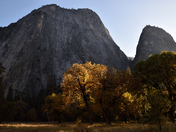 Yosemite National Park