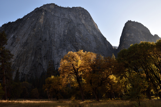 Yosemite National Park