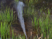 Yosemite National Park