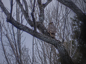 When the Sun Begins to Set