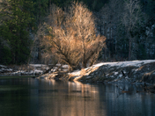 Yosemite National Park