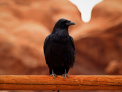 Arches National Park