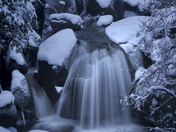 Yosemite National Park