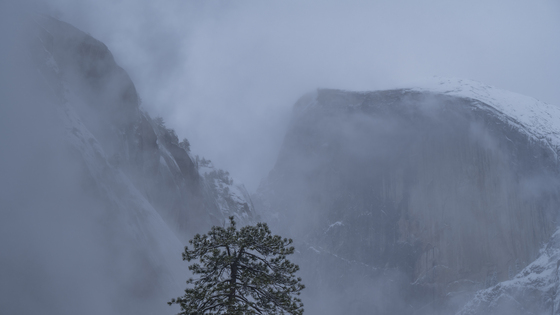 Yosemite National Park