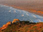 Point Reyes National Seashore