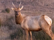 Point Reyes National Seashore