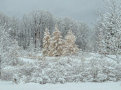 Snowy morning in the Laurentians