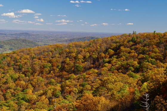 Shenandoah National Park