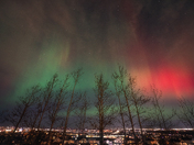 Red Aurora on Calgary