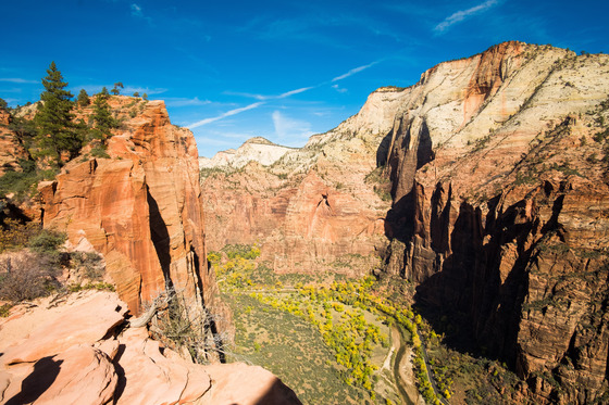 Zion National Park