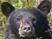 Just enjoying a snack