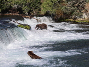 Katmai National Park