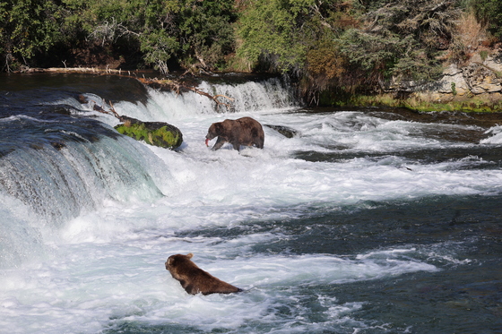 Katmai National Park