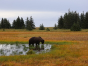 Lake Clark National Park