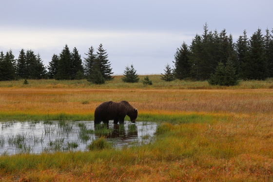 Lake Clark National Park
