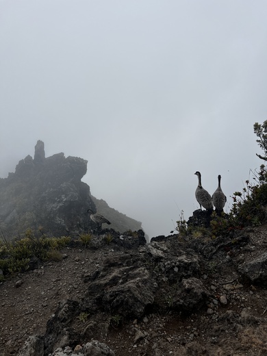 Haleakala National Park