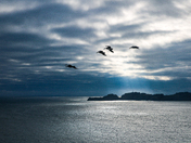 Golden Gate National Recreation Area