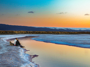 Don Edwards San Francisco Bay National Wildlife Refuge
