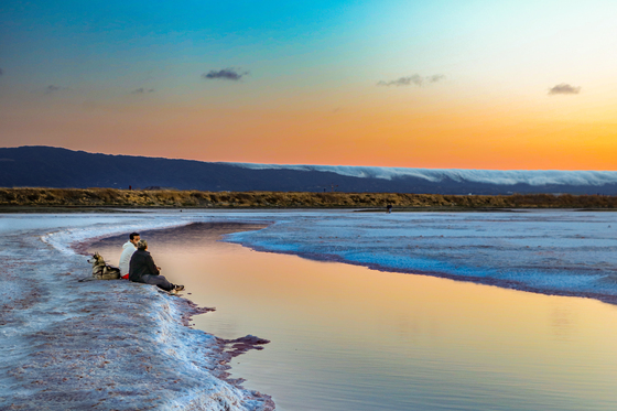 Don Edwards San Francisco Bay National Wildlife Refuge