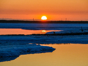 Don Edwards San Francisco Bay National Wildlife Refufe