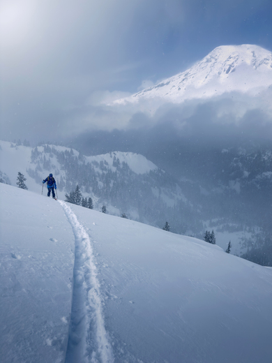 Mount Rainier National Park