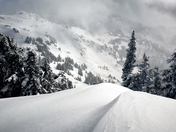 Mount Rainier National Park