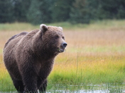 Lake Clark National Park