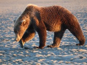 Lake Clark National Park