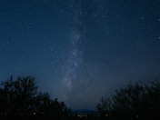 Saguaro National Park