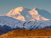 Denali National Park