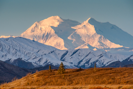 Denali National Park