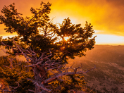 Rocky Mountain National Park