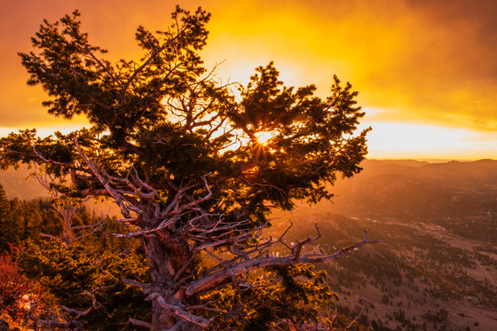 Rocky Mountain National Park