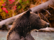 Lake Clark National Park