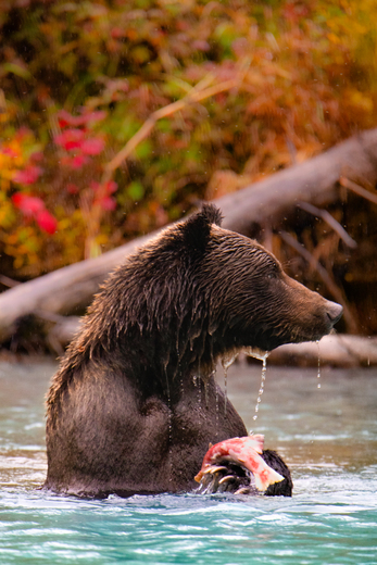Lake Clark National Park