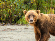 Lake Clark National Park