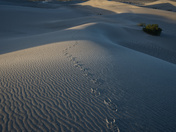 Death Valley National Park