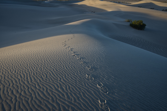 Death Valley National Park