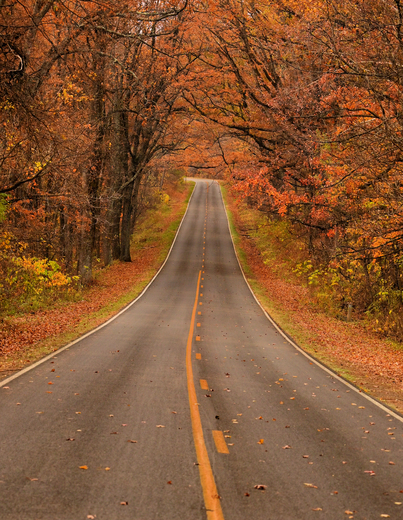 Shenandoah National Park