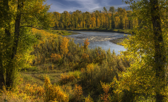 Grand Teton National Park