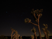 Joshua Tree National Park