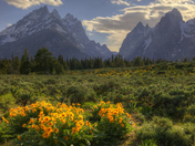 Grand Teton National Park