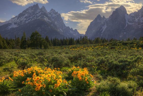 Grand Teton National Park