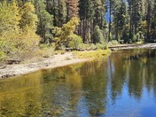 Yosemite National Park