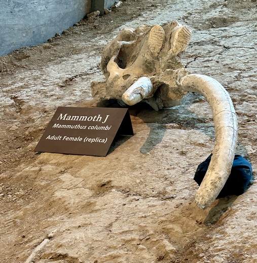Waco Mammoth National Monument 