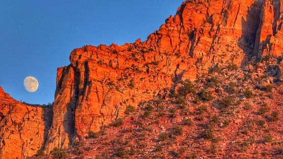 Zion National Park 