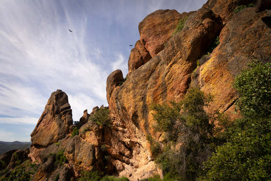 Pinnacles National Park