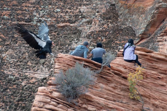 Zion National Park