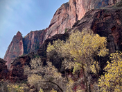 Zion National Park