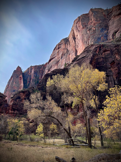 Zion National Park